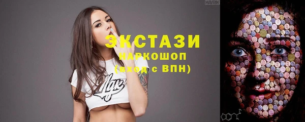 амф Тайга