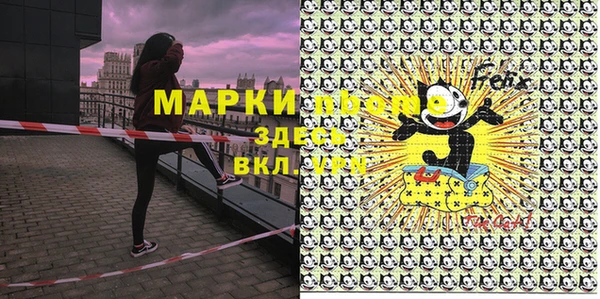 ешки Аркадак