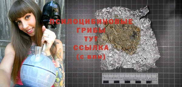 амф Тайга