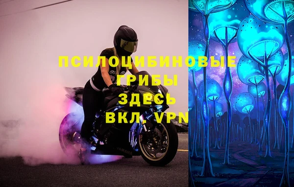 дмт Армянск