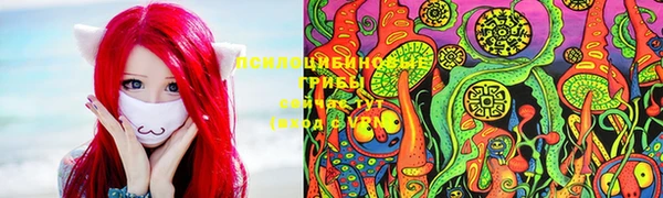 ешки Аркадак