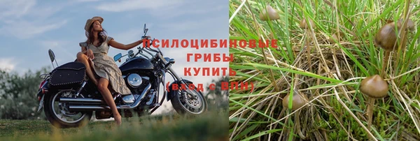 дмт Армянск