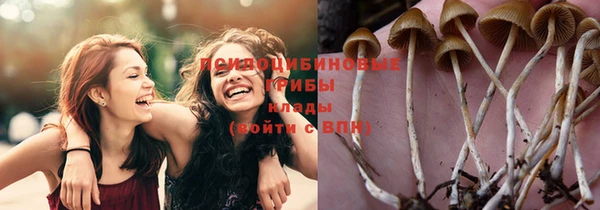 стафф Арсеньев