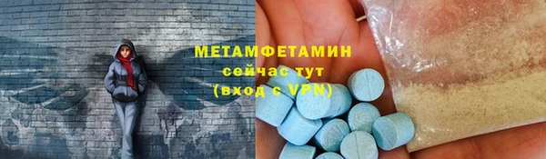 амф Тайга